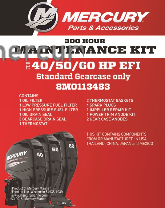 Artikel Bild: 300h Service Kit 40-60PS 4Zyl EFI Standard-Getriebe